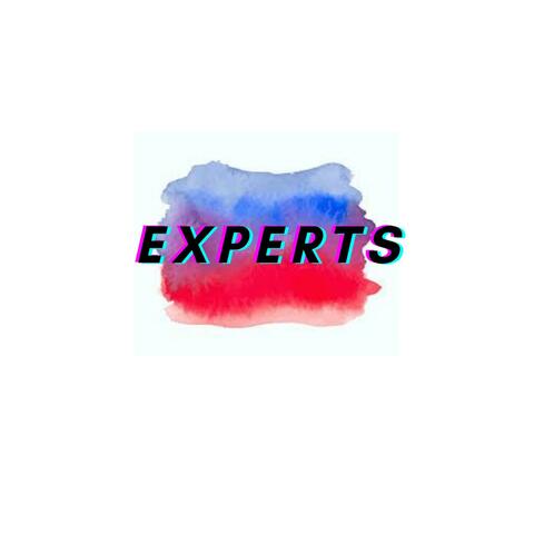 Experts