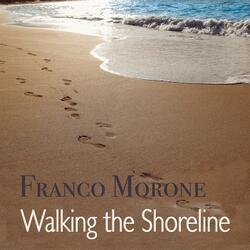 Walking the Shoreline
