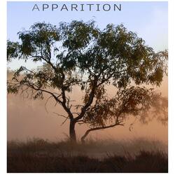 Apparition