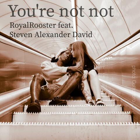 You're Not Not (feat. Steven Alexander David)