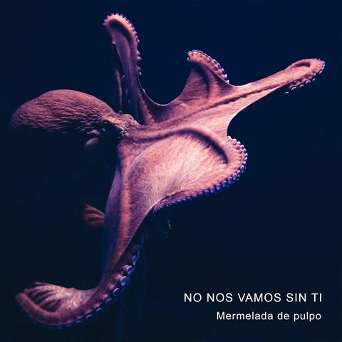 No Nos Vamos Sin Ti