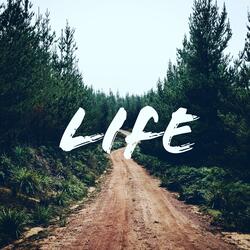 Life (feat. ChX0)
