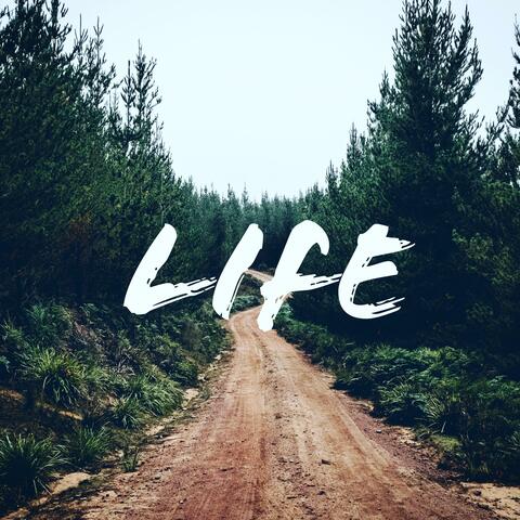 Life (feat. ChX0)