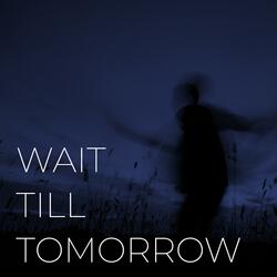 Wait Till Tomorrow
