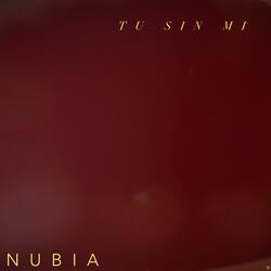 Tu Sin Mi
