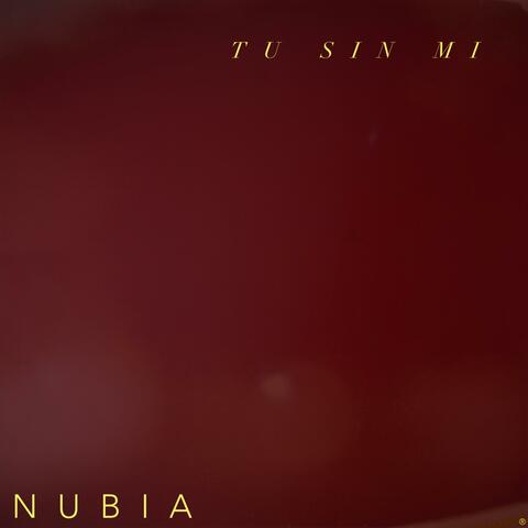 Tu Sin Mi