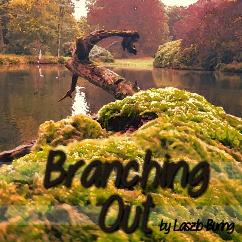 Branching Out