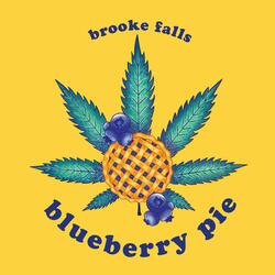 blueberry pie