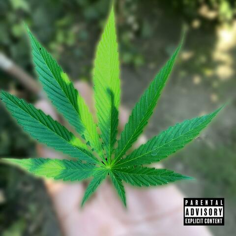 Weed-A-Holic (feat. Young Savie)