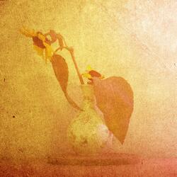 Fading