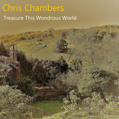 Treasure This Wondrous World