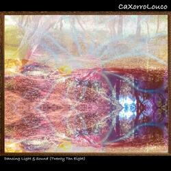 Dancing Light & Sound (Twenty Ten Eight)