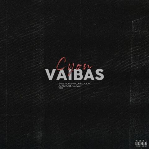 Vaibas