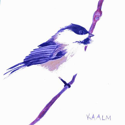 Chickadee