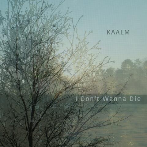 I Don't Wanna Die