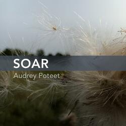 Soar