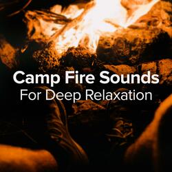 Consistent Fire Sounds While Drinking a Glass of Wine