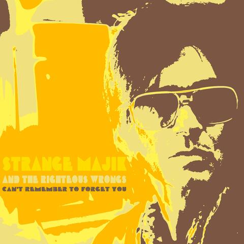 Can't Remember to Forget You