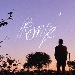 PROMISE (feat. Ok2222, fcj, Zamir, Rosarrie & Fair Dawn)