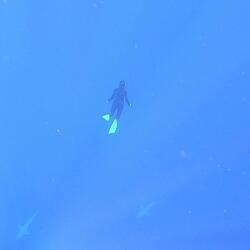 In the Water Gazing Around