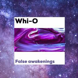 False Awakenings