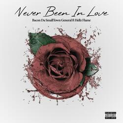 Never Been in Love (feat. Hellz Flame)