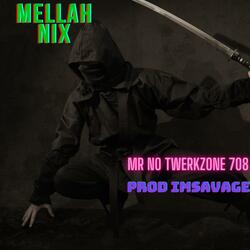 Mr No Twerkzone708