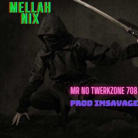 Mr No Twerkzone708