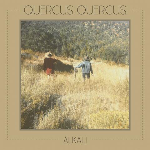 Alkali