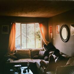 I Choose to Start Again