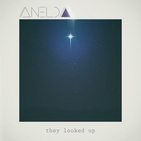 They Looked Up