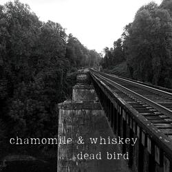 Dead Bird