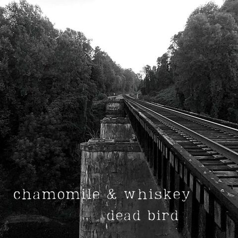 Dead Bird