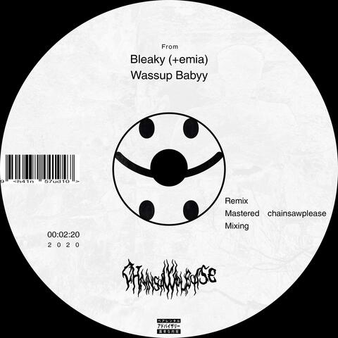 Wassup Babyy (feat. Bleaky & emia)