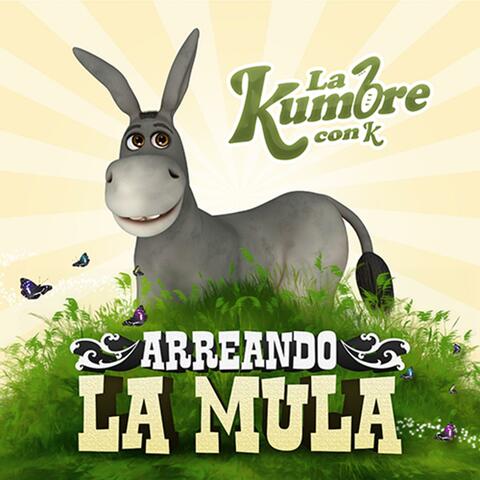 Arreando la Mula