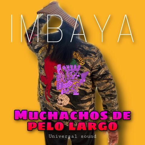 Muchachos de Pelo Largo