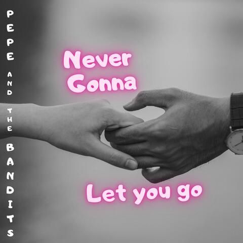 Never Gonna Let You Go