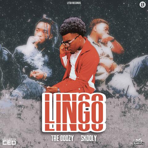 Lingo (feat. Skooly)
