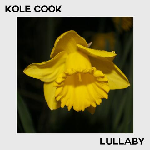 Lullaby