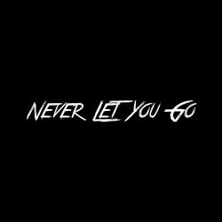 Never Let You Go
