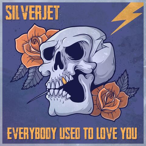 Everybody Used to Love You
