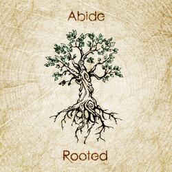 Abide