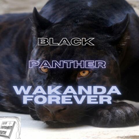 Black Panther X Wakanda Forever Tribute (Original ShowTheWayBeats Soundtrack)