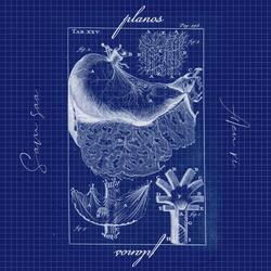 Sxtura (feat. Ill Fresco)