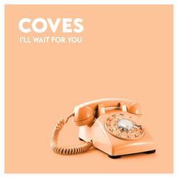 I'll Wait for You