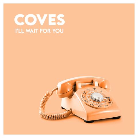 I'll Wait for You