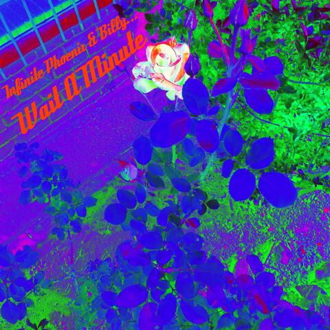 Wait a Minute (feat. Billy...)