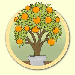 Orange Tree