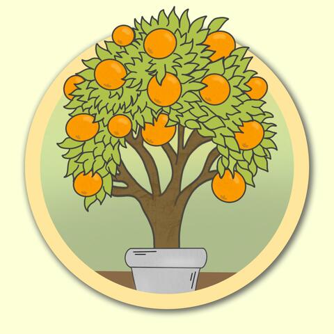 Orange Tree