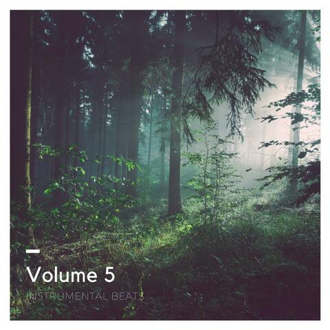 Instrumental Beats Volume 5